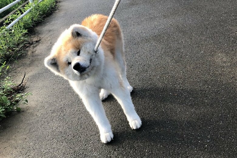 散歩中にNOサイン