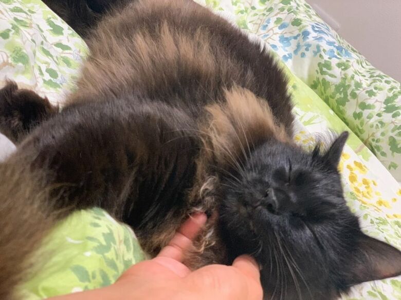 提供：イナタマグラムさん