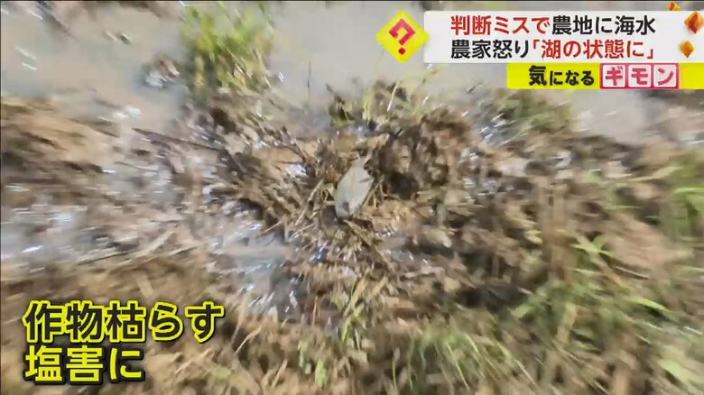 作物などが枯れる塩害を引き起こす海水が流入した