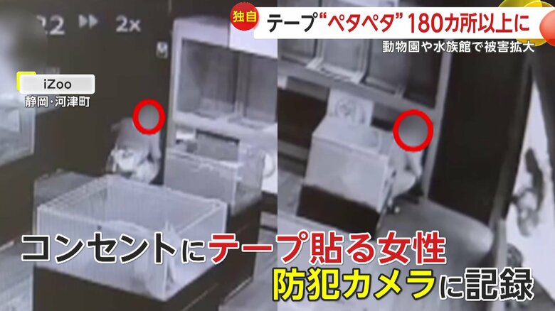 園内のコンセントに次々とテープを貼っていく長い髪に花柄のミニスカート姿の女性