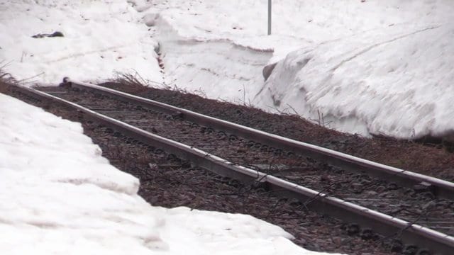 線路周辺には雪が残る　JR只見線・蒲生トンネル付近（福島県只見町）