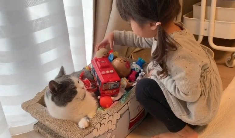 着々と埋まっていくごまくん