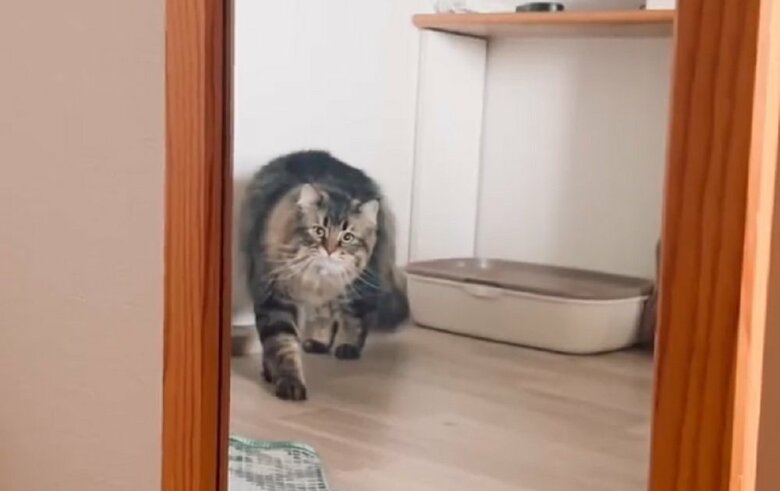 鏡越しに合う視線