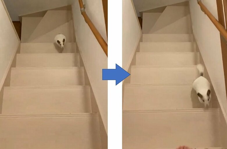 階段を上るのも速い！