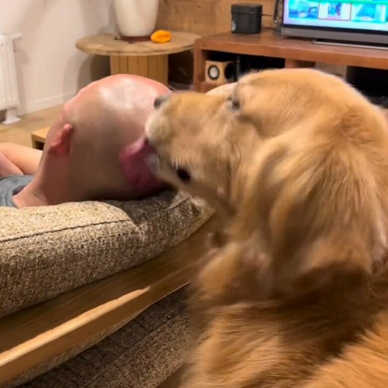 なめて愛を伝えるモッシュくん