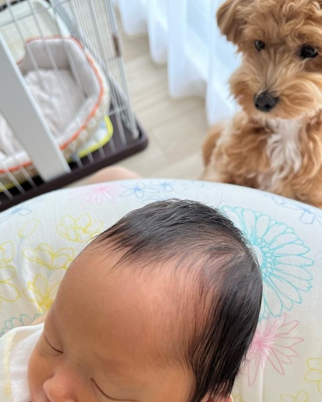 “妹”をじっと見つめるマルちゃん