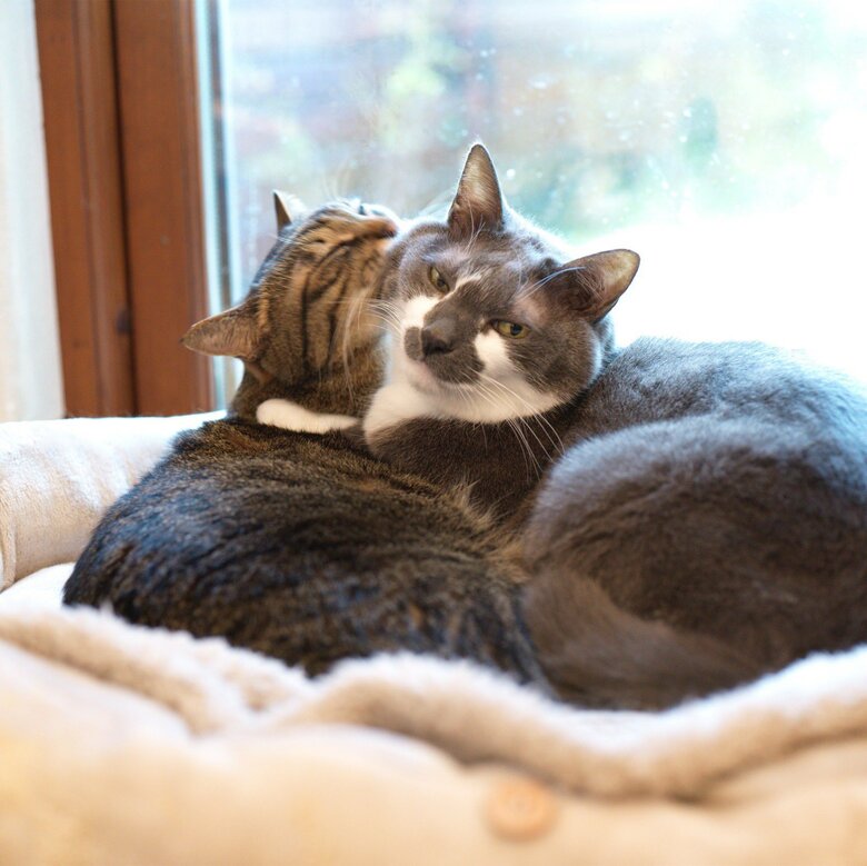 この日も仲良し