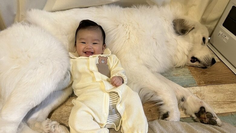 ベッドになってあげるシュシュちゃん