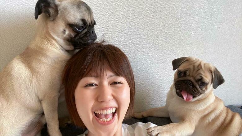 提供：たまごandおもちさん