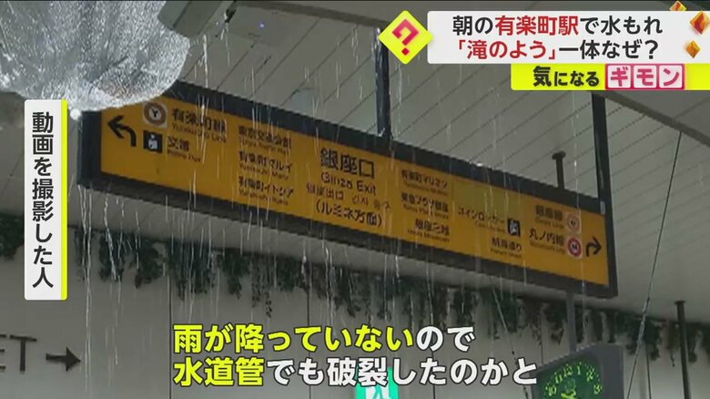 （撮影：キキ）