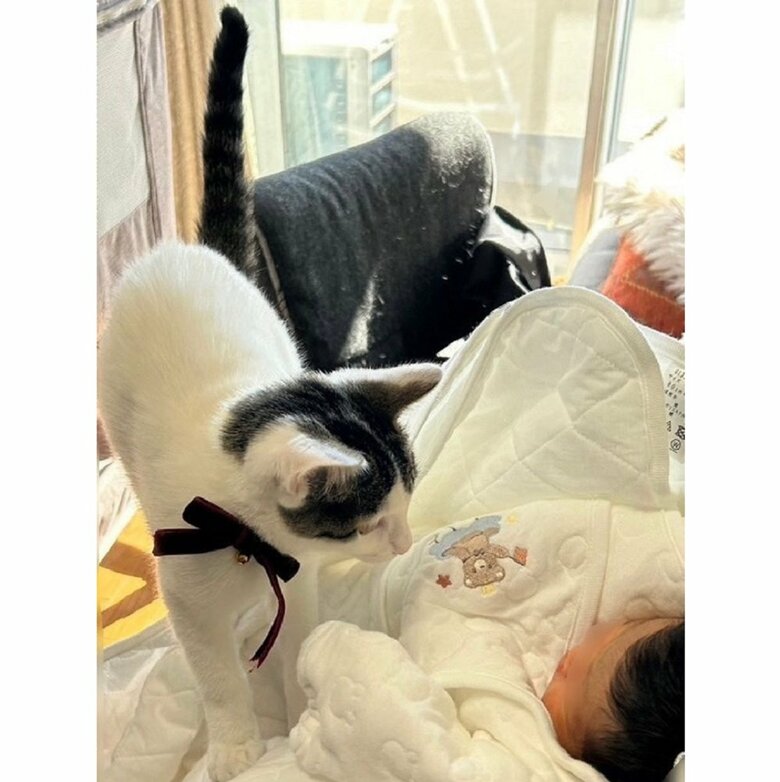 ベンツちゃんと息子さんの初対面