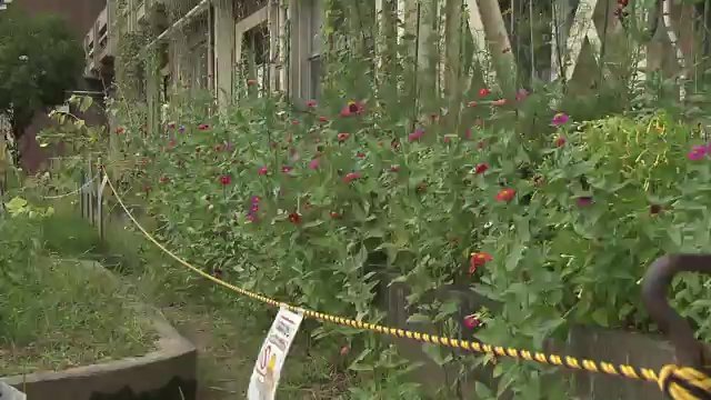 危険箇所に近づかないようロープを張って注意喚起