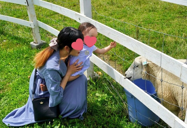 提供：さっぴさん