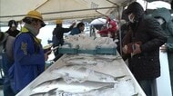 冬の味覚を堪能“寒ぶりまつり”今季記録的不漁も少しずつ水揚げ増 関係者は今後の大漁を期待「もう少し気温が下がれば」新潟・佐渡