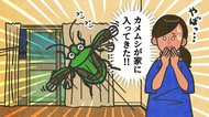 秋に自宅でカメムシを見つけたら要注意？家が“越冬場所”になる…