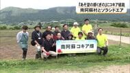 南阿蘇村とソラシドエアが道の駅にコキア植栽【熊本】
