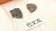 「福岡城に天守閣はあったのか」長年の謎に挑む　初の発掘調査の結果を公表「他の天守台で使われる構造と似ている」