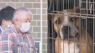 【独自】“闘犬種”が通行女性を襲う 目を離した隙にリードが外…