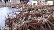 揺らぐ「越前がに」ブランド　ふるさと納税返礼品の違法表示問題　GI法の理解不足か…地元業者から国や町へ怒りの声
