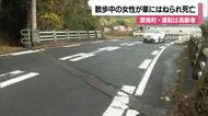 愛南で散歩中の女性がはねられ死亡　軽乗用車運転の８０代女性「歩行者に気づかなかった」【愛媛】