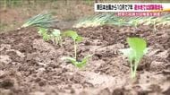 大雨被害を軽減する“遊水地”　阿武隈川上流の予定地で農作物の試験栽培…東日本台風の教訓