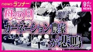 「母の日」定番カーネーションに「異変」燃料費の高騰で仕入れ価格2割ほど高く…デパートでは「組み合わせを楽しむ」商品も　多様化する母の日プレゼント事情