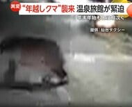 “年越しクマ”襲来…温泉旅館に居座り緊迫　タクシーとあわや衝突・巨大な足跡も　専門家は春先の増加を懸念