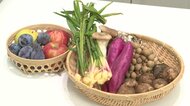 食事で免疫力アップ しょうがで体を温め、イカやエゴマで疲労回復…コロナに負けない体づくりを
