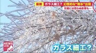 うひょー!キラキラの木の枝…原因は「雨氷(うひょう)」 落下の恐れ ”国道通行止め