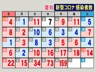 東京は641人…新型コロナ 東海3県で新規感染者194人 オミクロン株は愛知と三重で新たに計5人陽性