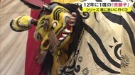 12年に1度しか見られない貴重な“トラ” 恵美須神社「十日えびすの“虎獅子”」【香川・東かがわ市】