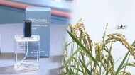 音楽の「香水」どんな香り? 音楽聞かせた「農産物」どんな味? 音楽の街・浜松の挑戦