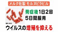 治療薬としての効果は期待…開発進む新型コロナ飲み薬 “予防効果”は現時点で不明「収束の鍵はワクチン」