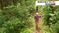 青葉が茂る「祖父岳」を山歩き 深い緑に映える真っ赤なヤマツツジ…いまが見ごろの山道を彩る花々も【富山発】