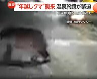 “年越しクマ”襲来…温泉旅館に居座り緊迫　タクシーとあわや衝突・巨大な足跡も　専門家は春先の増加を懸念