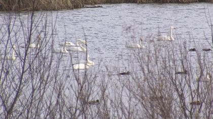 【札幌から日帰りドライブ】古民家カフェにガレット専門店―旅のプロが教える！長沼町の穴場スポット特集 世界に一つだけのグラス作り体験も＜北海道＞