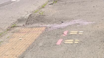 【歩道上で刺す】包丁で腹部を“複数回”病院搬送も死亡…逮捕されたインドネシア国籍の男「殺そうと思って刺した」強い殺意あったか―警察は現場で包丁2本押収〈北海道千歳市〉