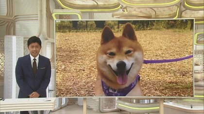 「血が手にいっぱい付いて」愛犬かみつかれ4針縫うけが…“リード離れ？”かんだ犬の飼い主に15万円賠償命令