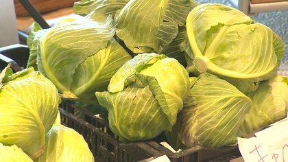 農家・消費者の“救世主”！？市場に出回らない“規格外野菜”を安く販売　定額1650円で1週間分の野菜届くサービスも 新潟