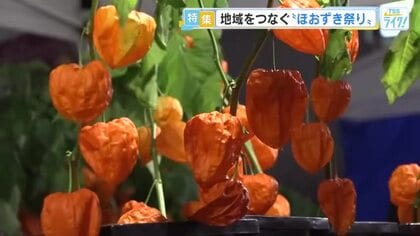 密着！地域をつなぐ「ほおずき祭り」　そこには伝統の祭りを守るために奮闘する人たちが…　広島