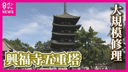 奈良のシンボル“興福寺・五重塔”が大改修！「400年後を見据えて…」約120年ぶりの改修工事