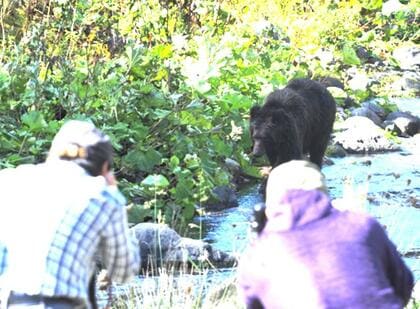 【ヒグマのすぐそばで写真撮影、見物渋滞も】知床で「人慣れしたクマ」増加の恐れ…人身事故を防ぐため駐停車を規制するロープ柵と注意喚起の看板を設置…羅臼岳のヒグマ襲撃死亡事故を受けて新たな対策＜北海道＞