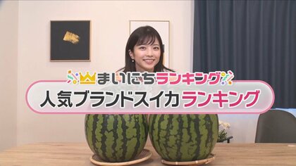 シャリ感や甘さが格別！スイカ専門店が選ぶ…おうちで味わえる「人気ブランドスイカランキング」ベスト5
