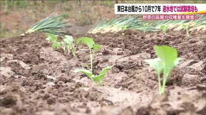 大雨被害を軽減する“遊水地”　阿武隈川上流の予定地で農作物の試験栽培…東日本台風の教訓