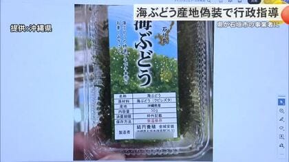ベトナム産海ぶどうを県産と偽り販売　県が食品加工会社に行政指導