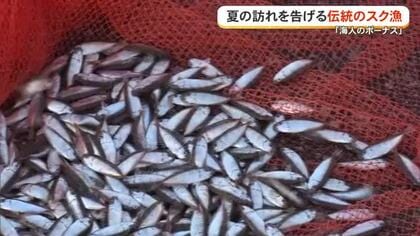 夏の伝統漁「スク漁」始まる　「海人のボーナス」めがけてベテラン漁師が海へ
