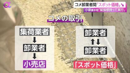 KOTO　他の方の購入は御遠慮ください　　11日までのお値下げ価格 KOTO 他の方の購入は御遠慮ください 11日までのお値下げ