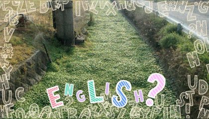 特集 コレ英語で言えますか Fnnプライムオンライン