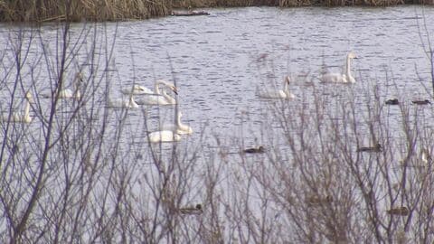 【札幌から日帰りドライブ】古民家カフェにガレット専門店―旅のプロが教える！長沼町の穴場スポット特集 世界に一つだけのグラス作り体験も＜北海道＞