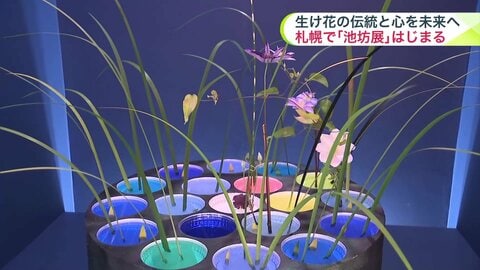 【華道の伝統と心を未来へ】「池坊」札幌支部95周年記念花展『未来咲』が開幕！5月24日まで色鮮やかな188作品＿季節の勢いと生命感あふれる花々が展示〈北海道札幌市〉